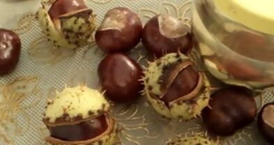Treatment of varicose veins using horse chestnut